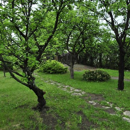 Szyszka I Roza Domek Na Jurze Zelazko Ngoại thất bức ảnh